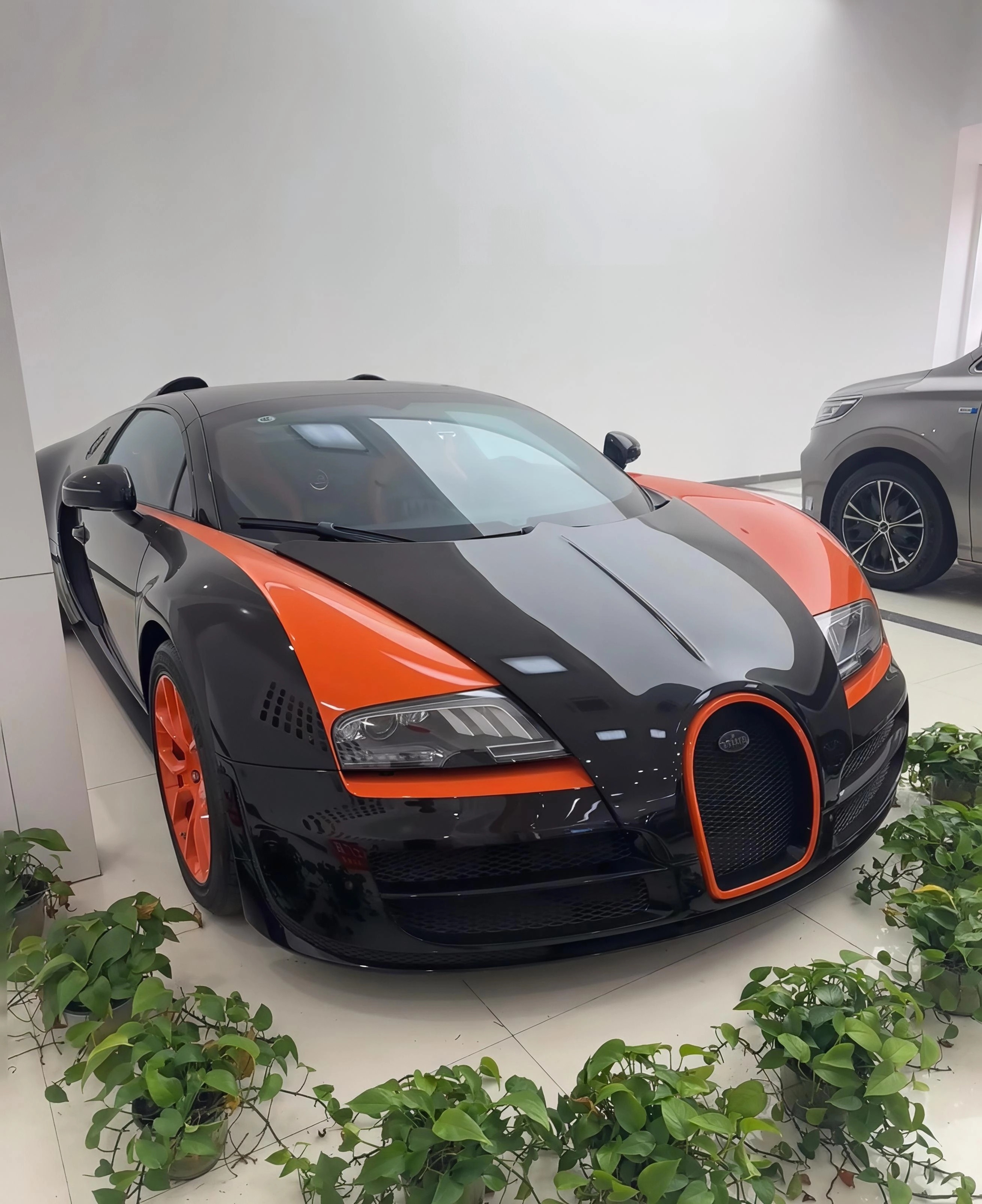 一辆无法上牌布加迪威航拍出1305万不能上牌？这买着干啥？婚车也跑不了，所以是为