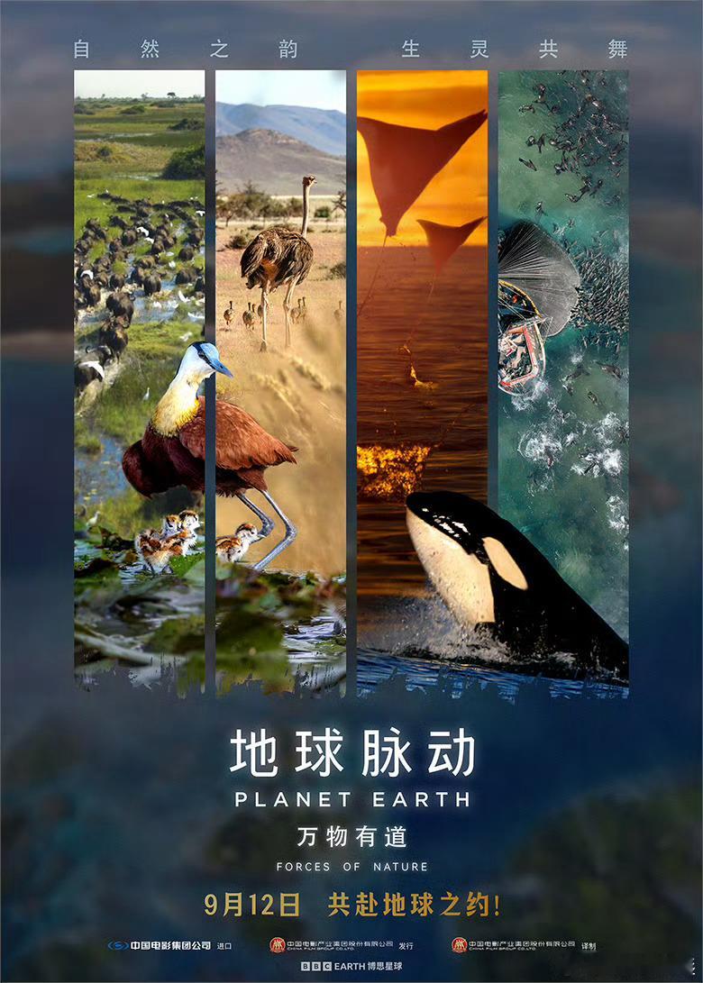 大自然是治愈身心最好的解药 被工作追着跑，被手机闹铃轰炸，日子过得像上了发条。《