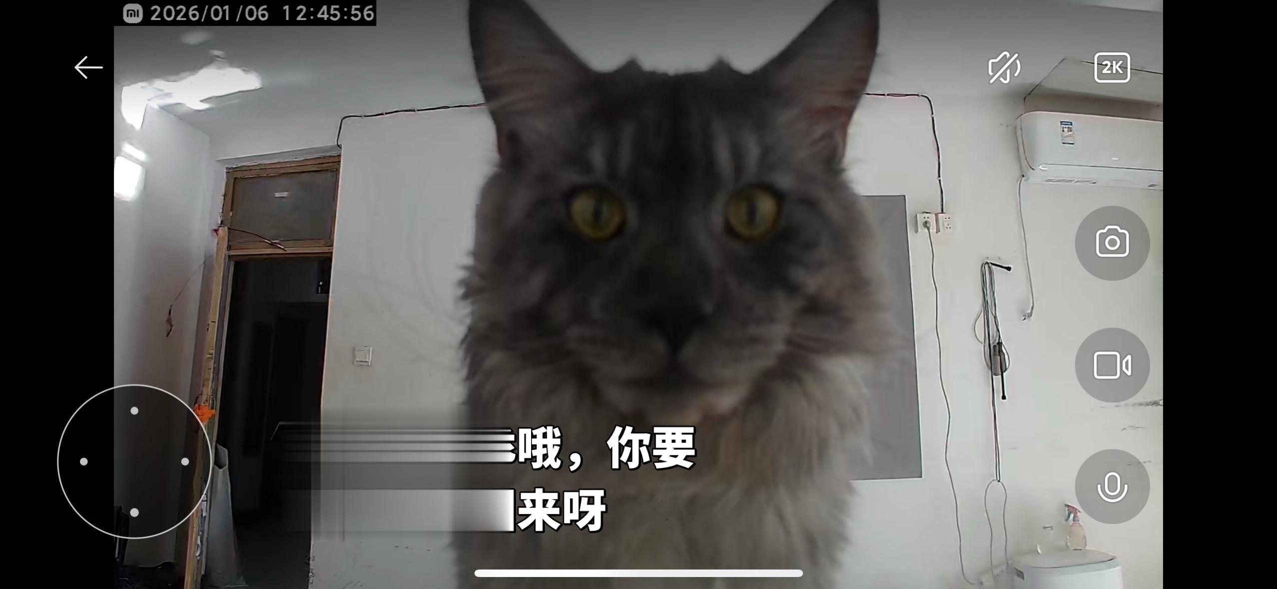 早点回家哦人，今天本咪很乖的哦。