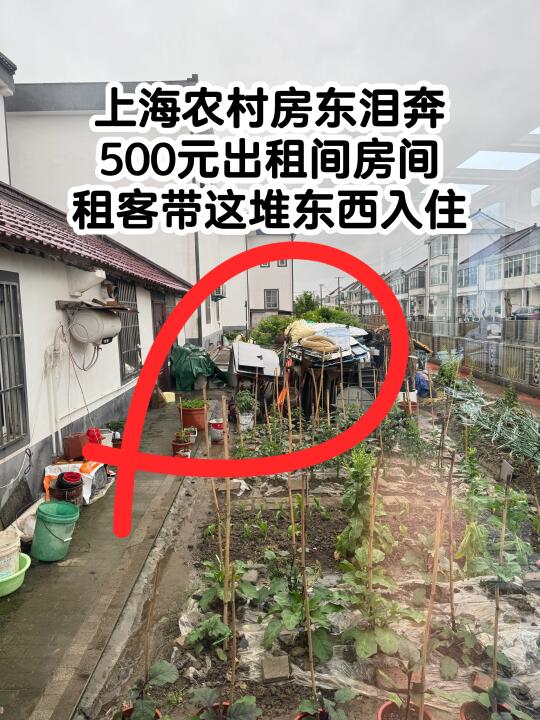 上海农村月租500元，租客带来什么让房东后悔