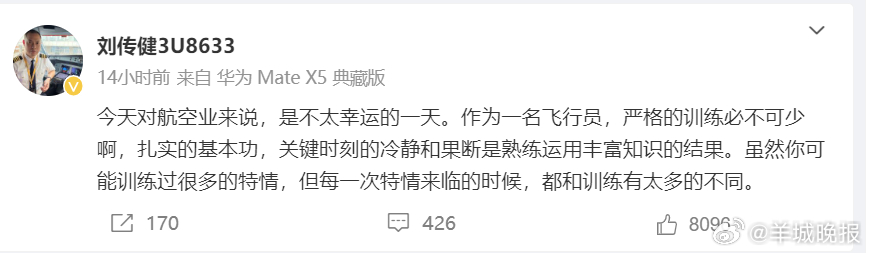 【#刘传健就韩国客机事故发声# ：作为飞行员严格训练必不可少！】12月29日，《