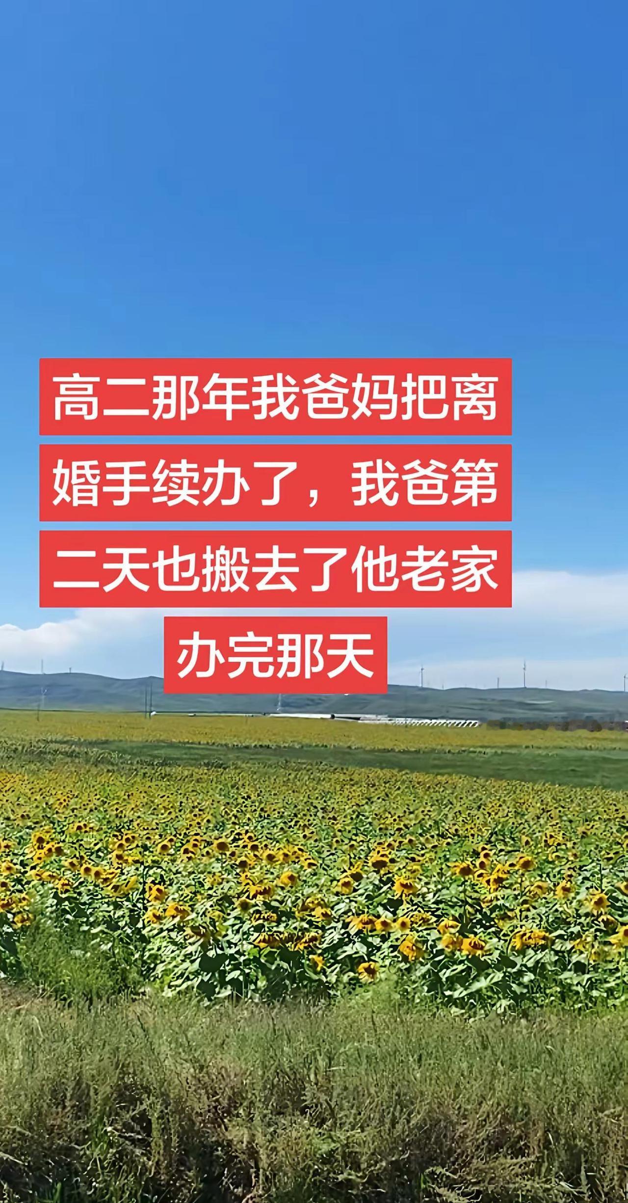 高二那年，我爸妈把离婚手续办了，办完那天，我妈拎着箱子走了，我爸第二天也搬去了他