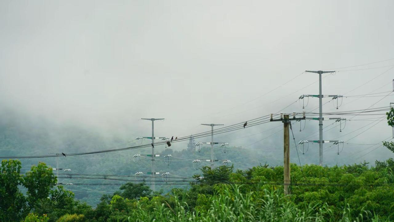 下雨天也有不一样的风景。