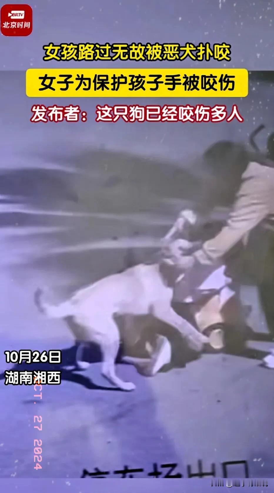 突发！湖南湘西，一名女孩路过无缘无故被恶犬扑倒撕咬，女孩为保护孩子手被咬伤。而发