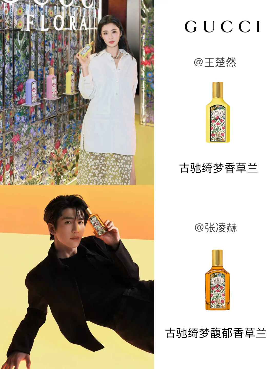 王楚然&张凌赫的GUCCI香水 💐🌸