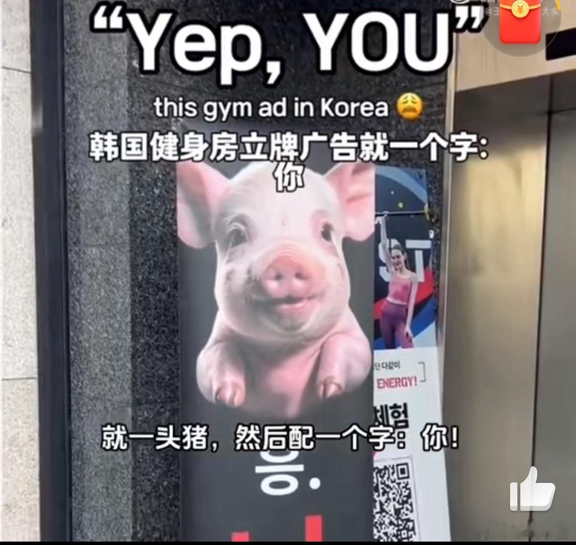 怪说不得韩国人健身卷呢是感觉大多数也是女生比较卷，既漂亮身材又好，男生的话就去练