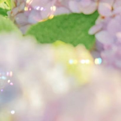 2200种植 绣球花的种植方法一、腐殖土壤绣球花在腐殖土壤上生长最佳，需要选取3