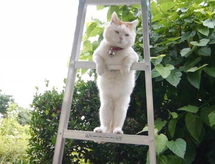 看图配词——[笑而不语]