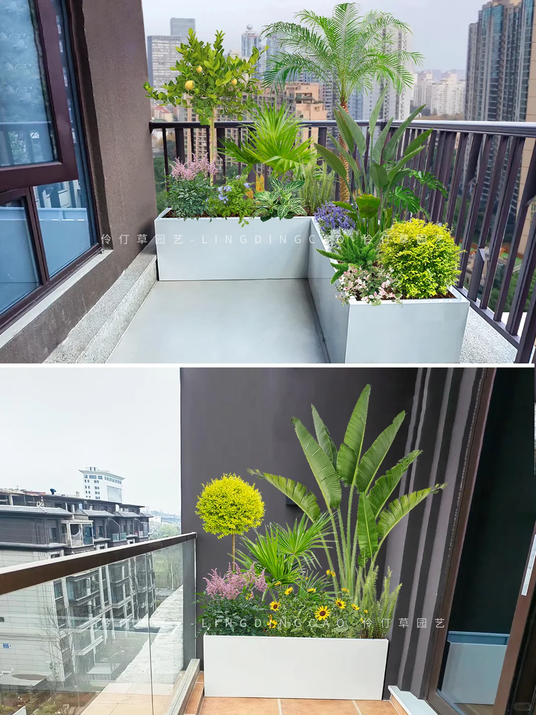 秋冬阳台花箱植物造景｜氛围感满满！