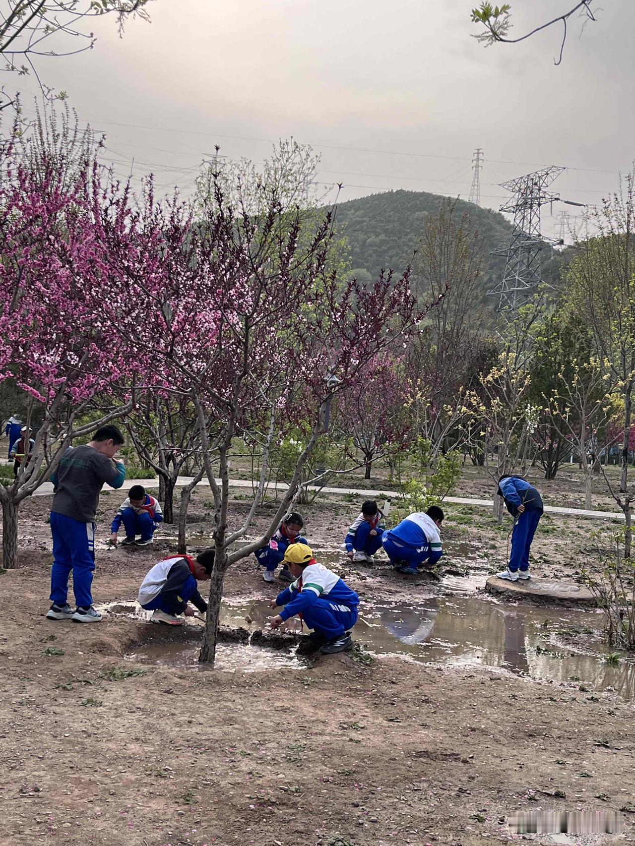 今天孩子放学挺早，四点来钟带娃去旁边的小公园溜达。

公园里几位维护的大爷正在浇