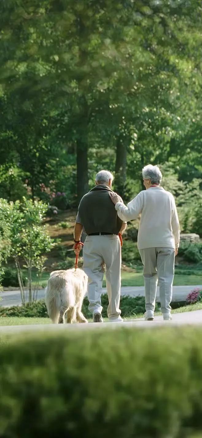 总有人问我，如何才能一辈子不用上班？

让我告诉你一个真相：那些真正实现这个目标