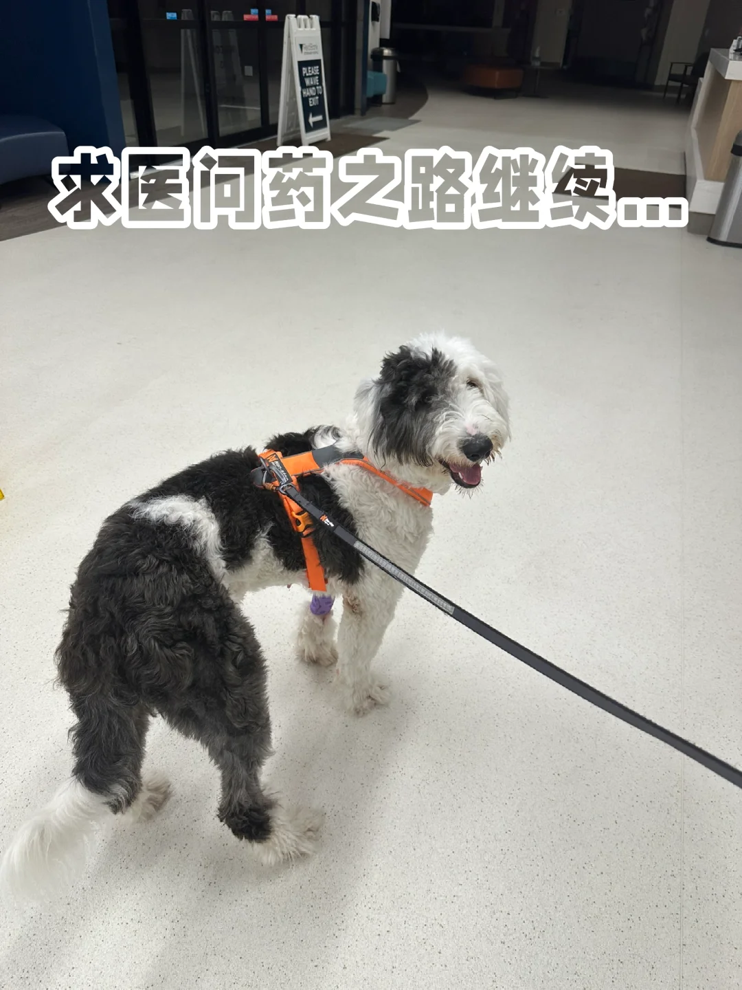 就诊记录｜紧急插队看内科专家，疑似IBD