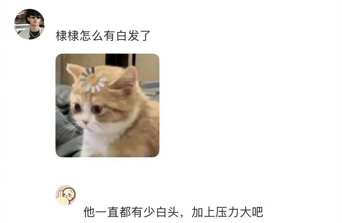 网友分享的棣棣有白头发了，压力大也会长白头发的，希望棣棣可以放松一点～