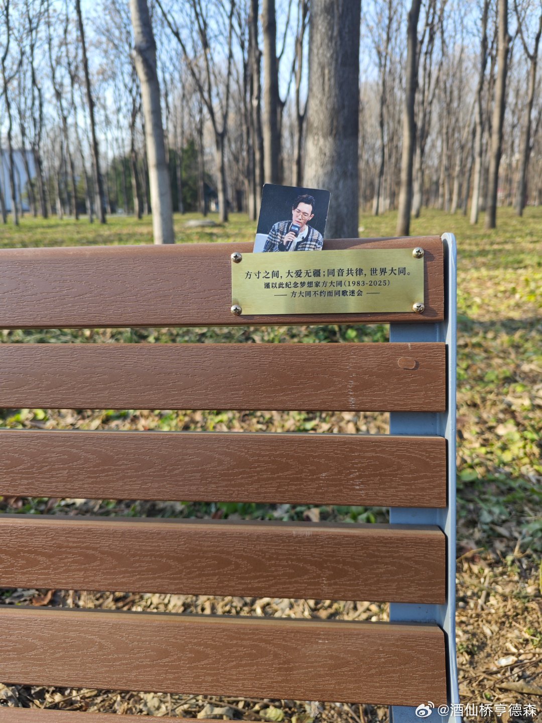 新住处附近的公园里竟然看到了这个 