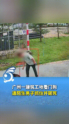 这手法太残忍了！广东广州，一建筑工地看门狗遭到陌生男子抓住并砸死，通过监控看到该