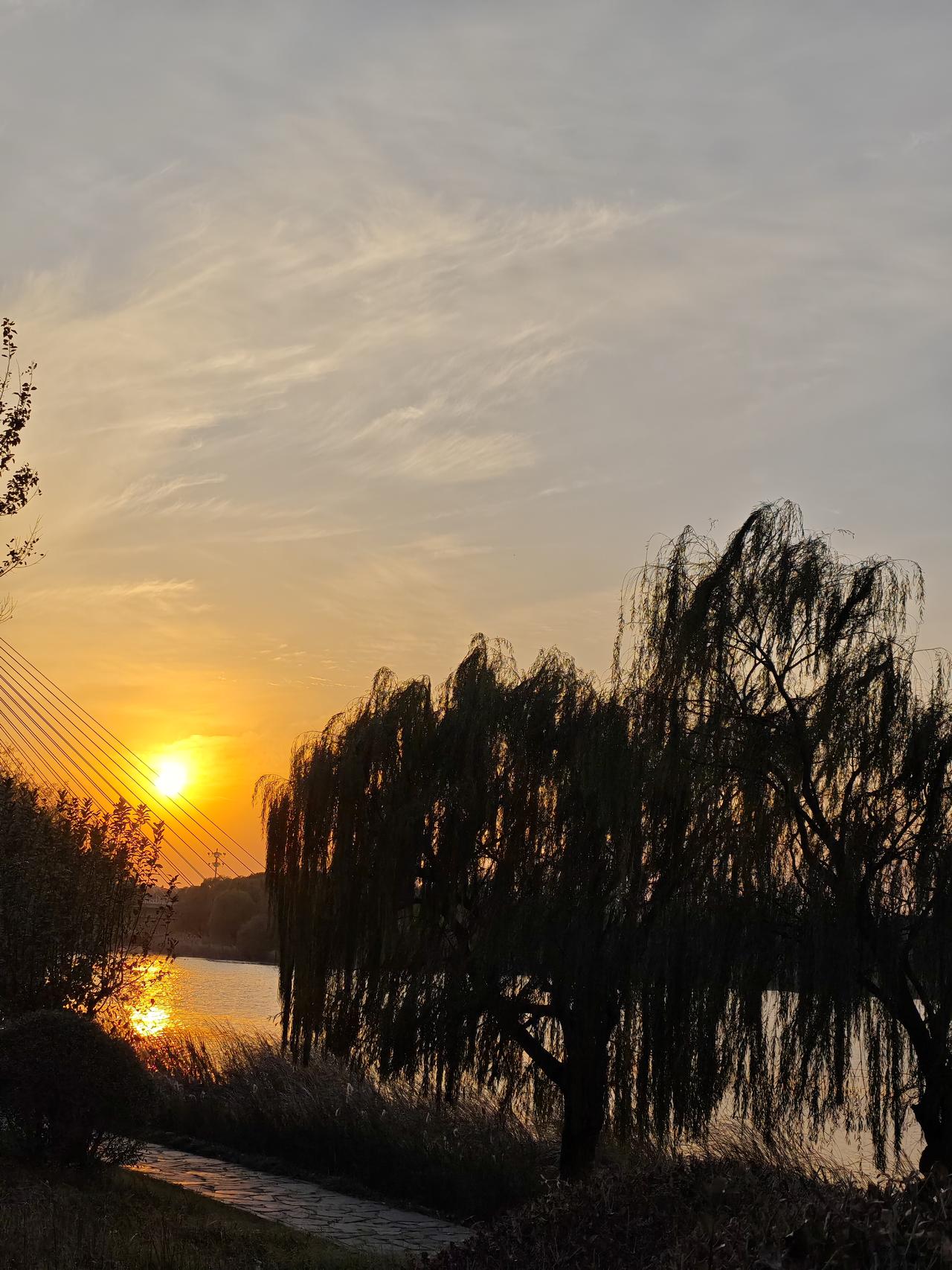 冬日生活打卡季