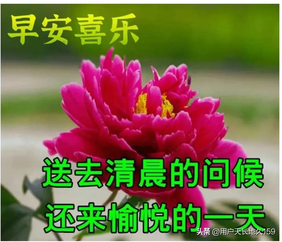 清晨问候送吉祥，
吉祥如意好运来；
生活幸福甜如蜜，
健康平安度每天。
