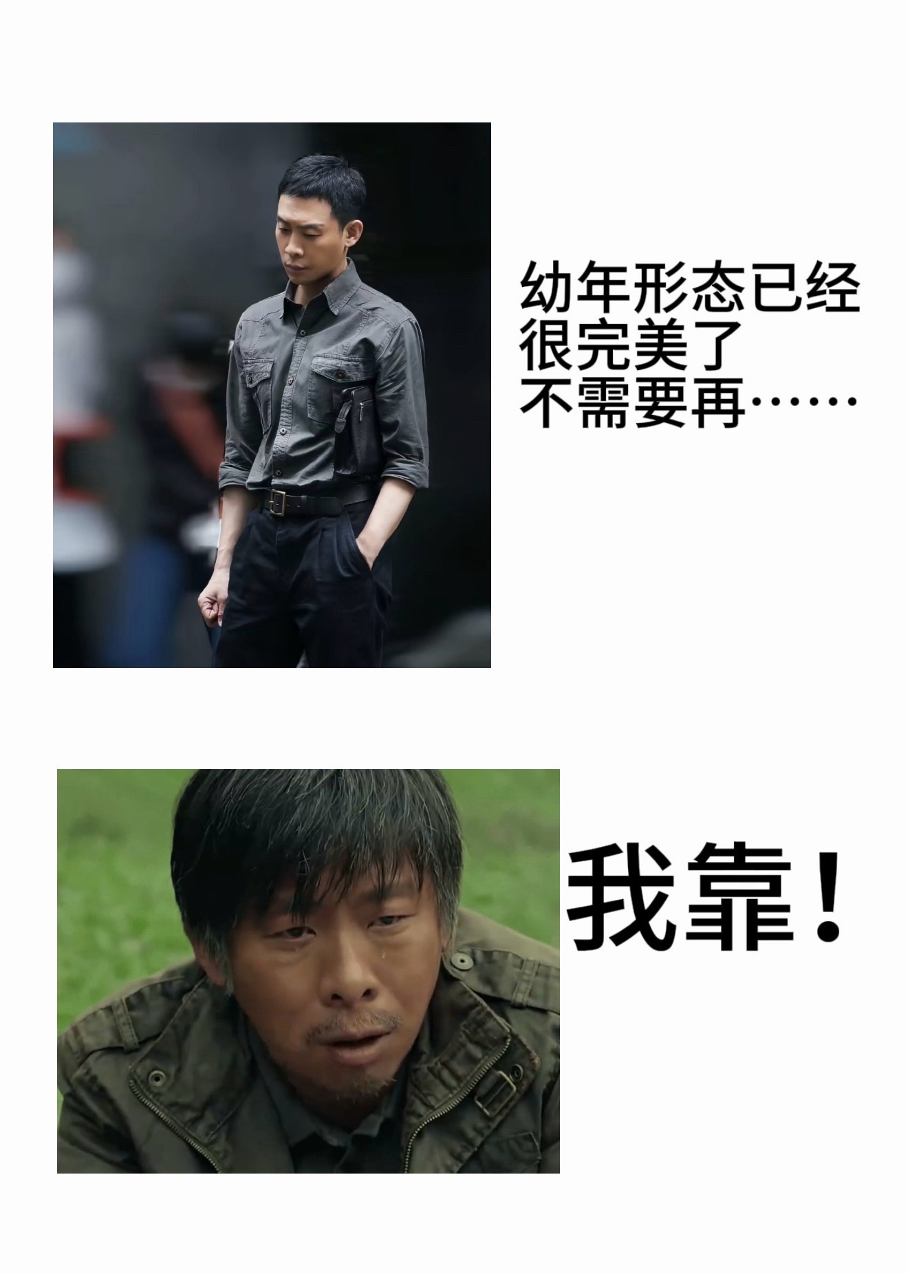 幼年形态已经很完美了 