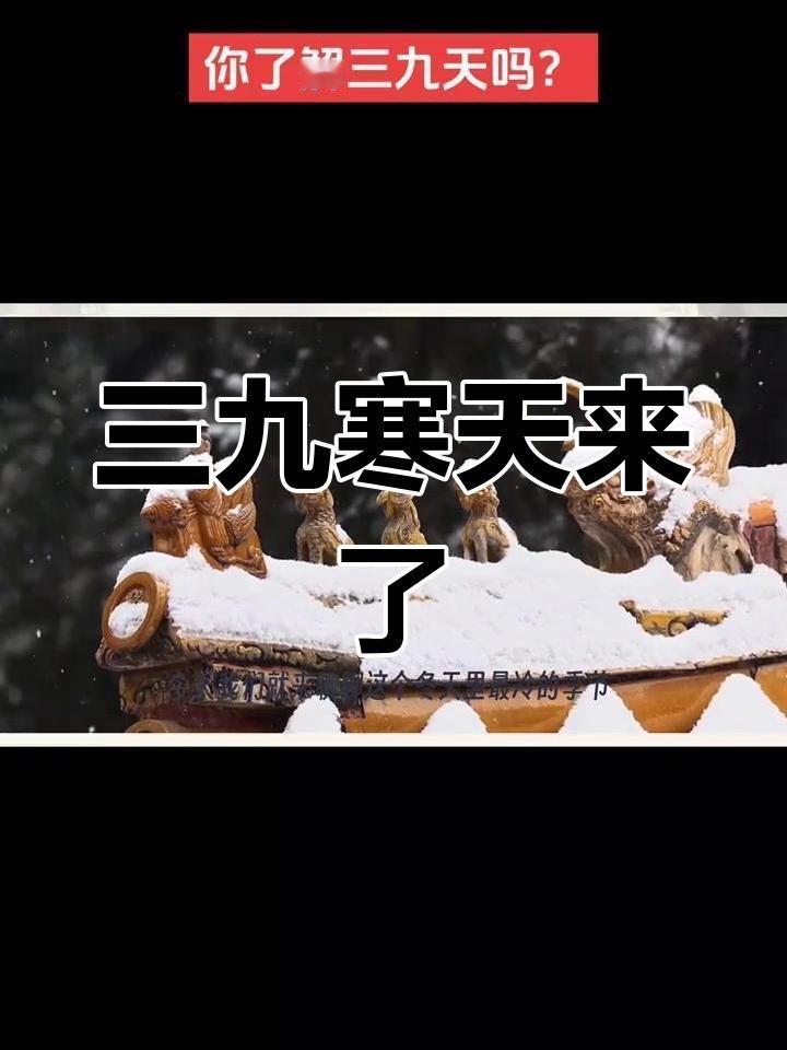 三九暖如春？别高兴太早！强冷空气+倒春寒预警，这些事一定要注意

“三九四九冰上