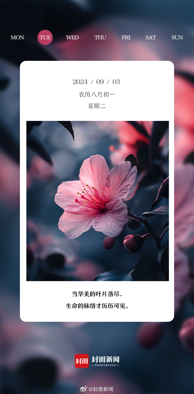 #小封日历# 早上好，今天周二！你几点醒的？[我来了] ​​​