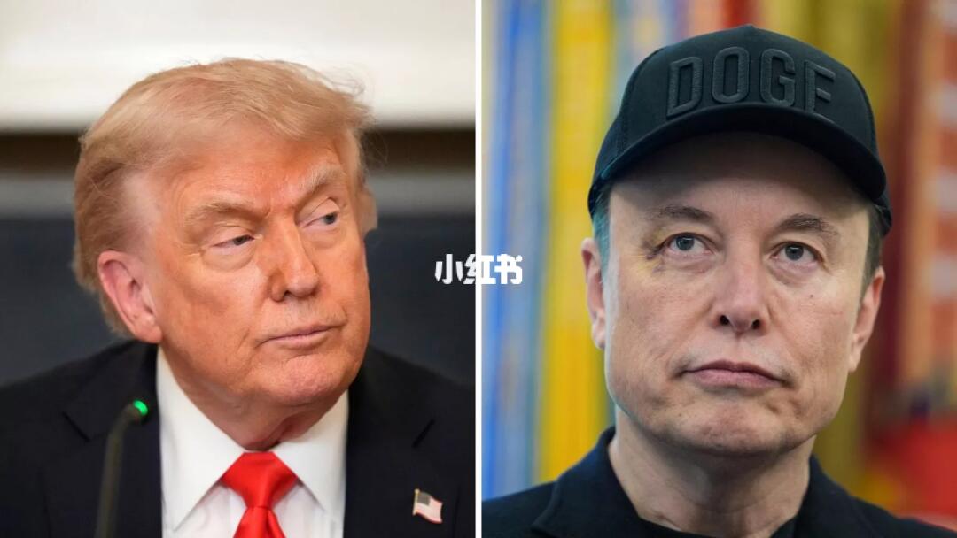马斯克道歉后，特朗普这么说