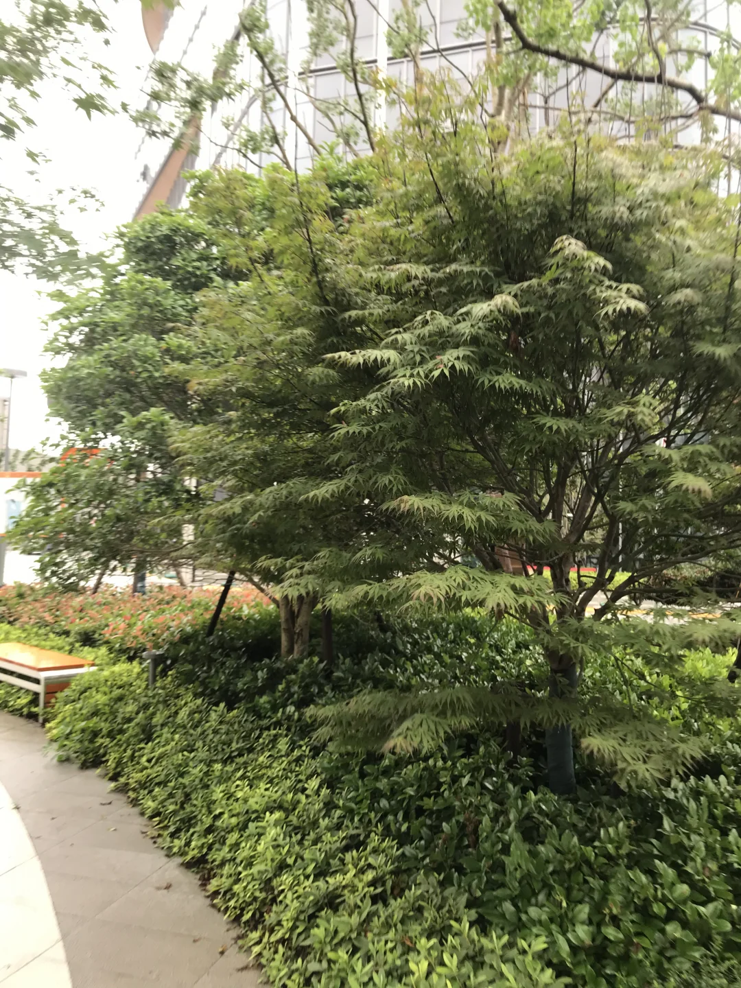 门口的风景