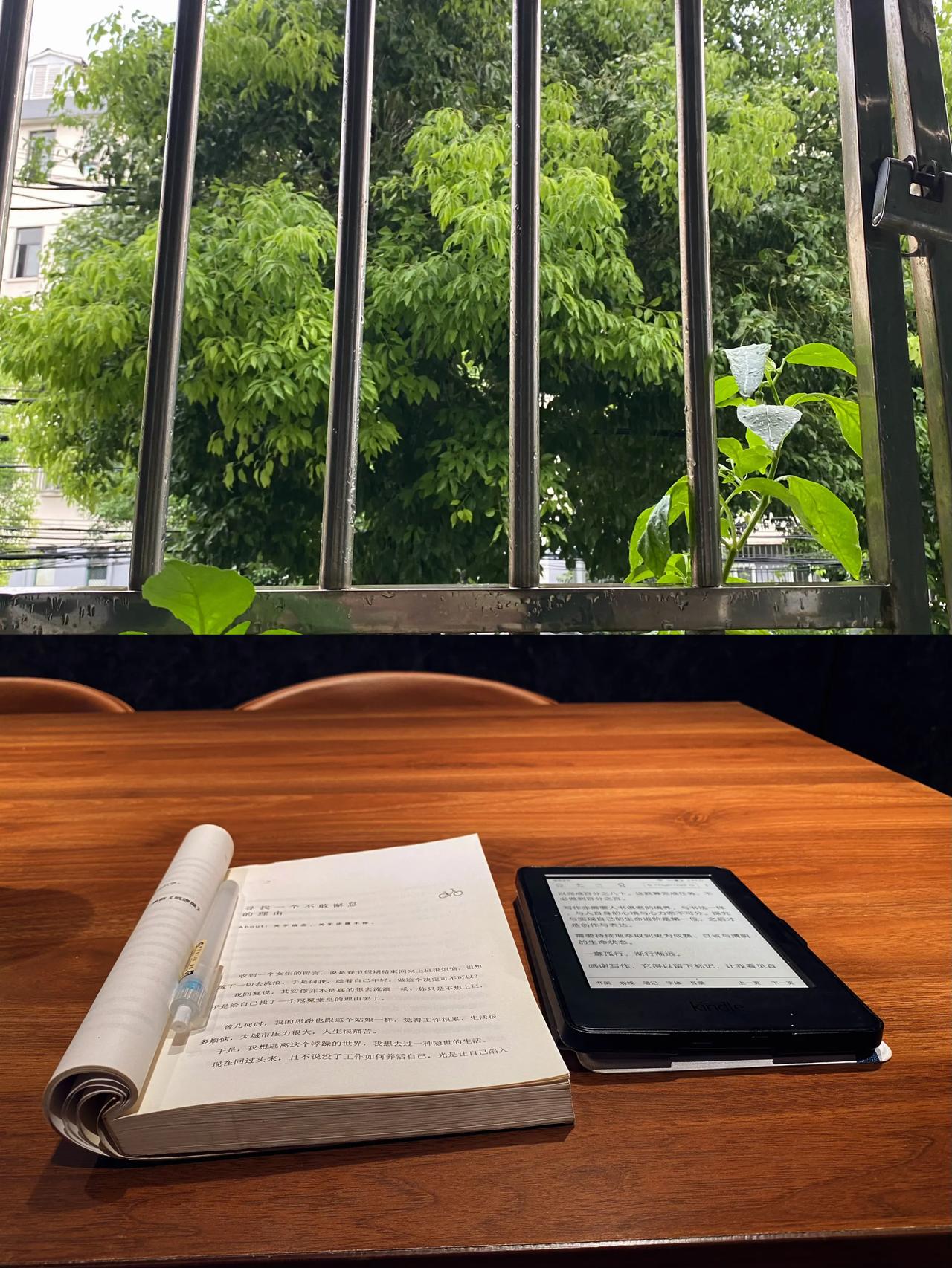 随着年岁的增长，我收获了岁月赐予我的一份厚重的礼物，那就是开始欣赏作为普通人的自