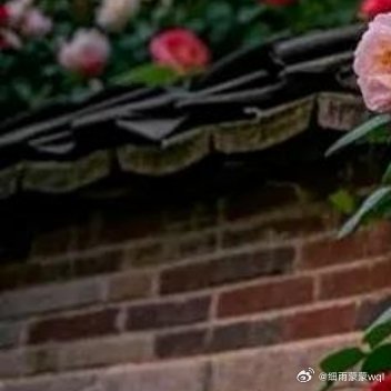 💖💖💖💖💖💖💖💖💖💖💖😴期许一场花开的绚😴💖💖😴