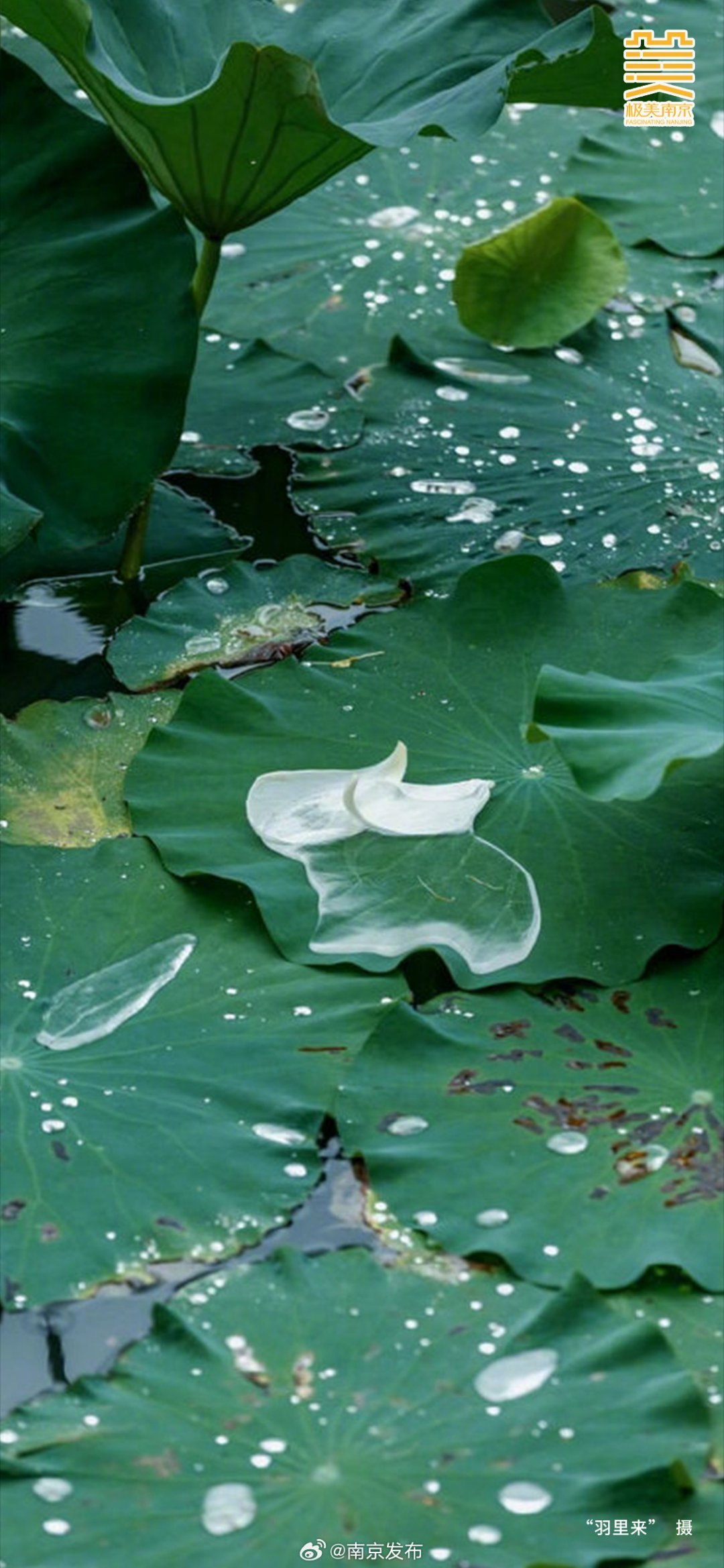 每日一善💖阳光信用 每日‬一善  每个人的心中都有一道光，那就是自己对未来美好