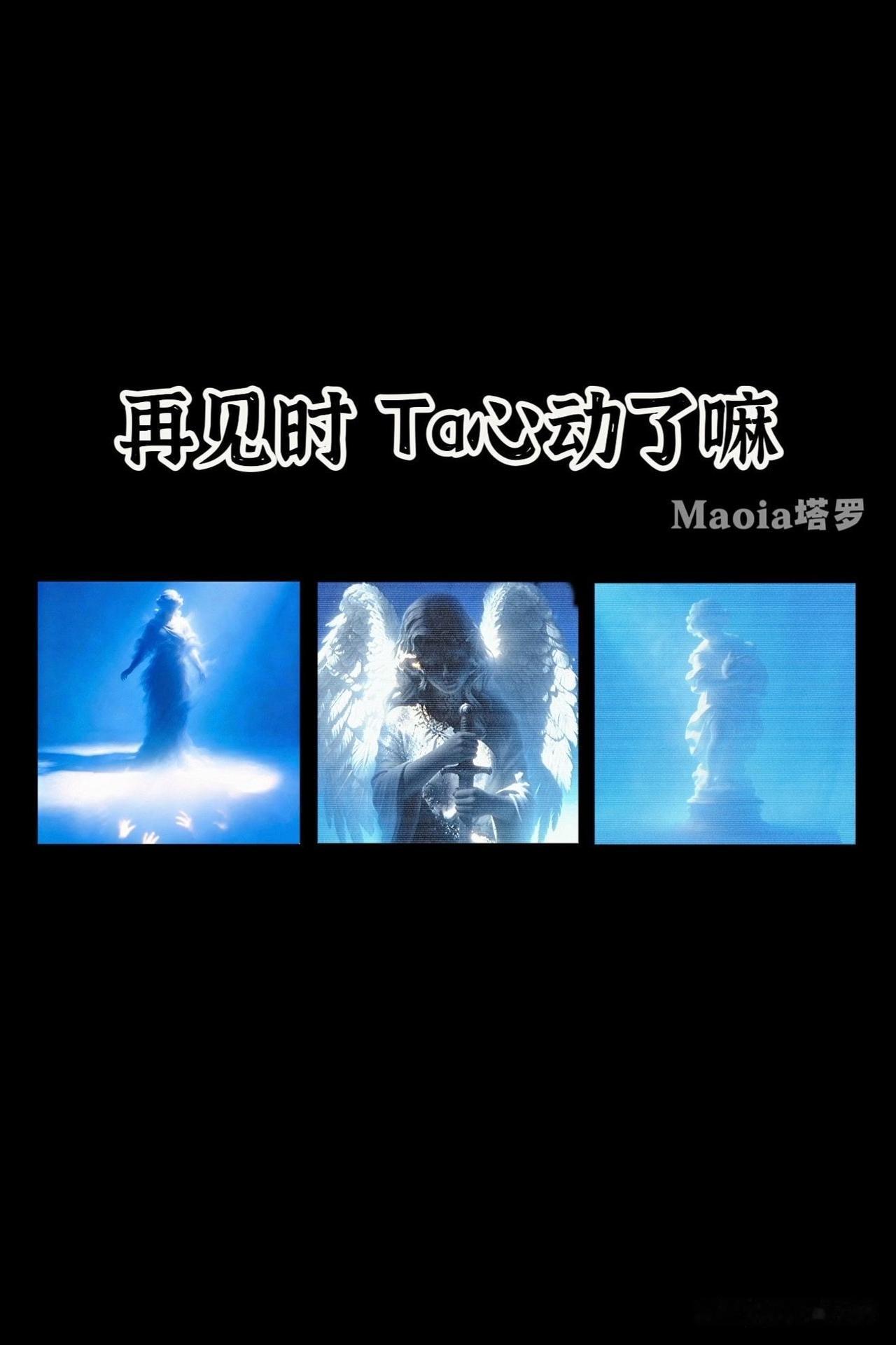 Ta心动了嘛