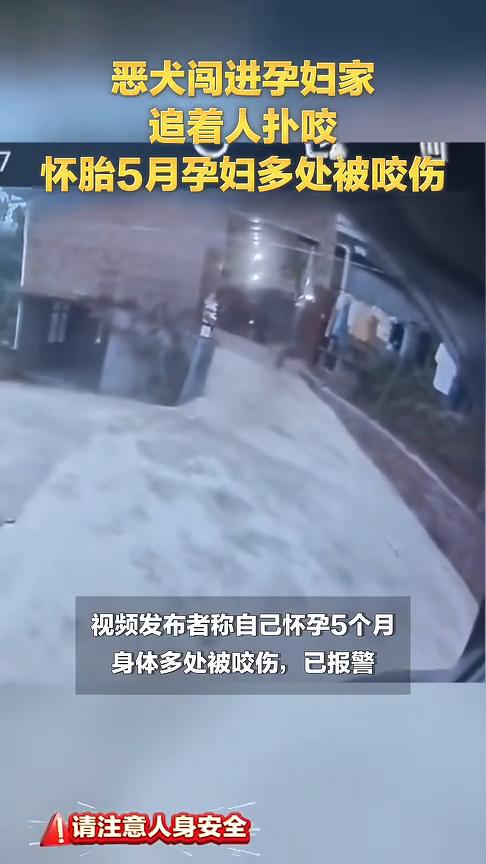 恶犬闯进孕妇家追着人扑咬，怀胎5月孕妇多处被咬伤。
四川宜宾。
4月15日，视频