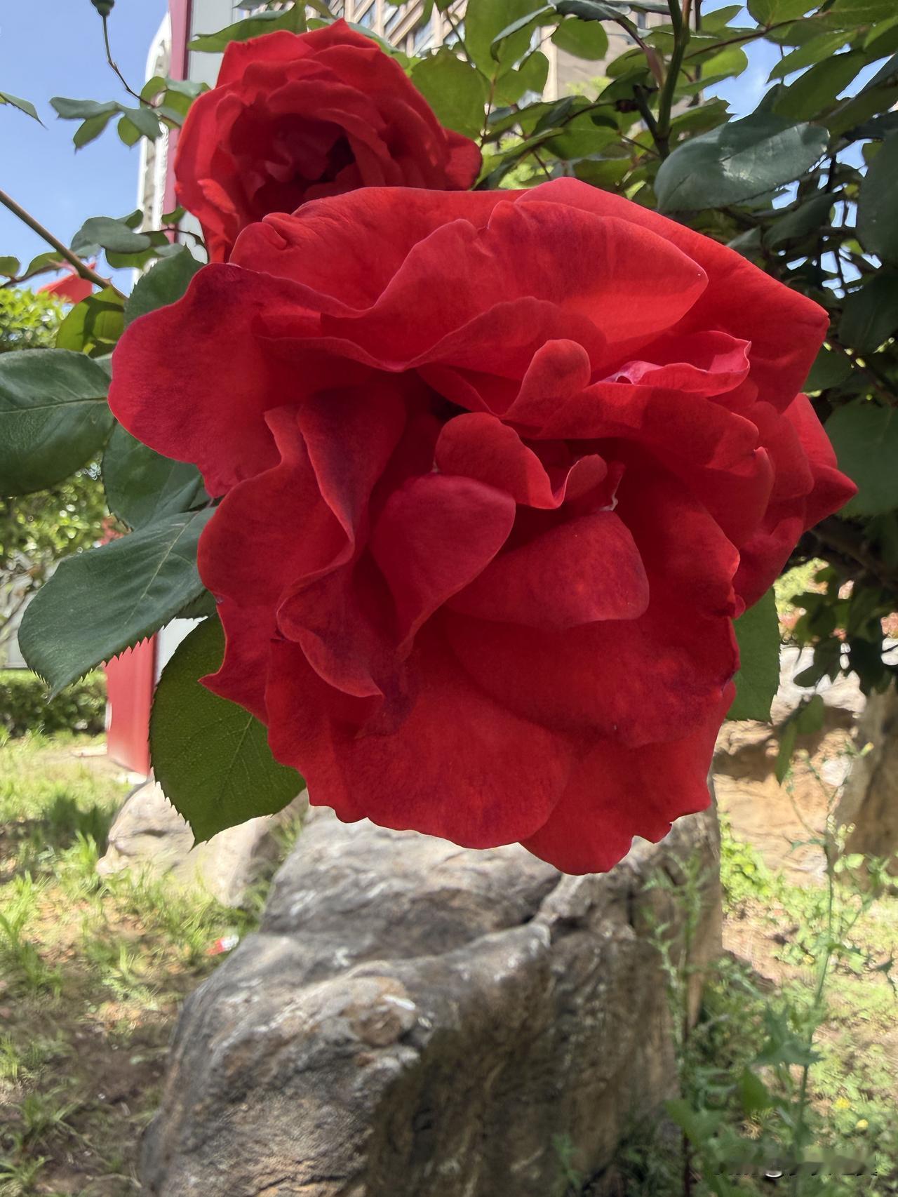 【小对联】
上：倒算；
下：……？