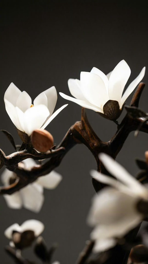 阳光信用  阳光信用 互动打卡 无论发生什么也不畏惧——这是幸福的根本。不管遇到