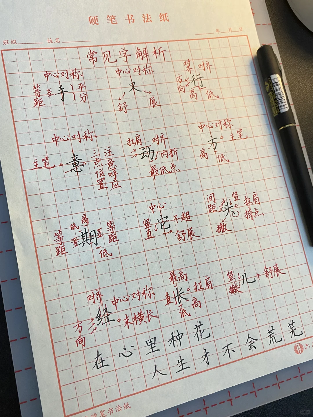 在心里种花｜人生才不会荒芜
