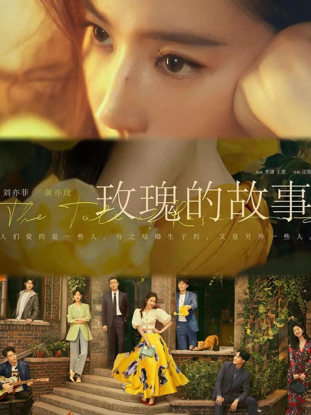 现代剧推荐电视剧《玫瑰的故事》汪俊执导，李潇、王思编剧，刘亦菲、佟大为、万茜领衔