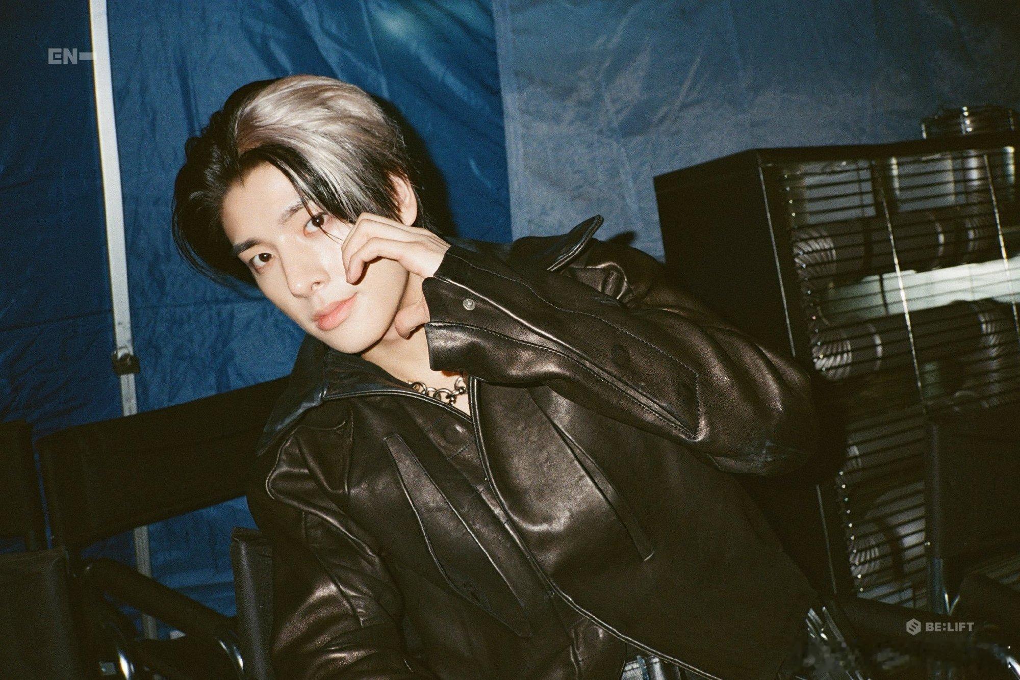 家狗萌出了一个新地步。 