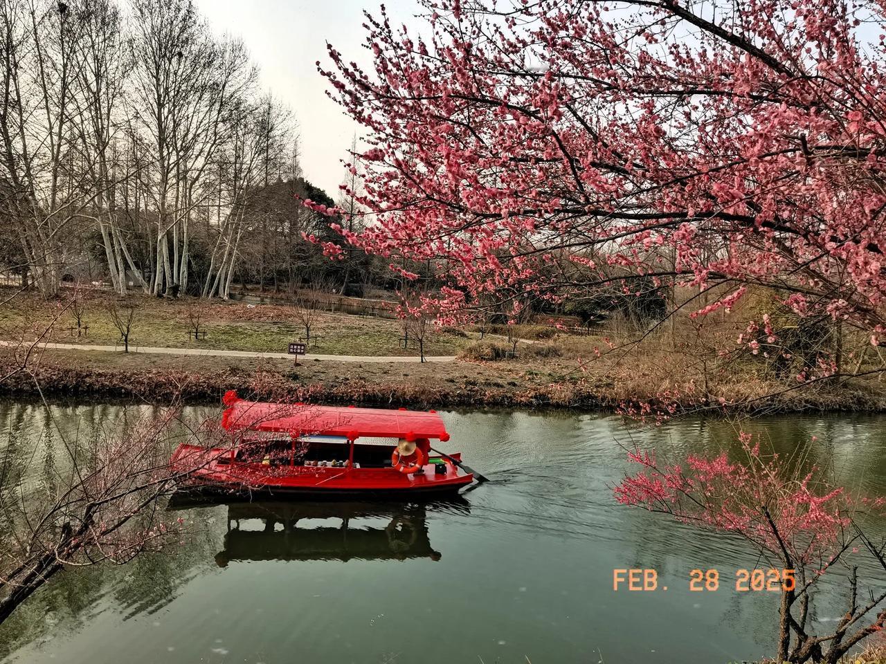 二月，是属于焦山的浪漫时节。此时，寒冬的余韵尚未散尽，春天的脚步却已悄然踏上这片