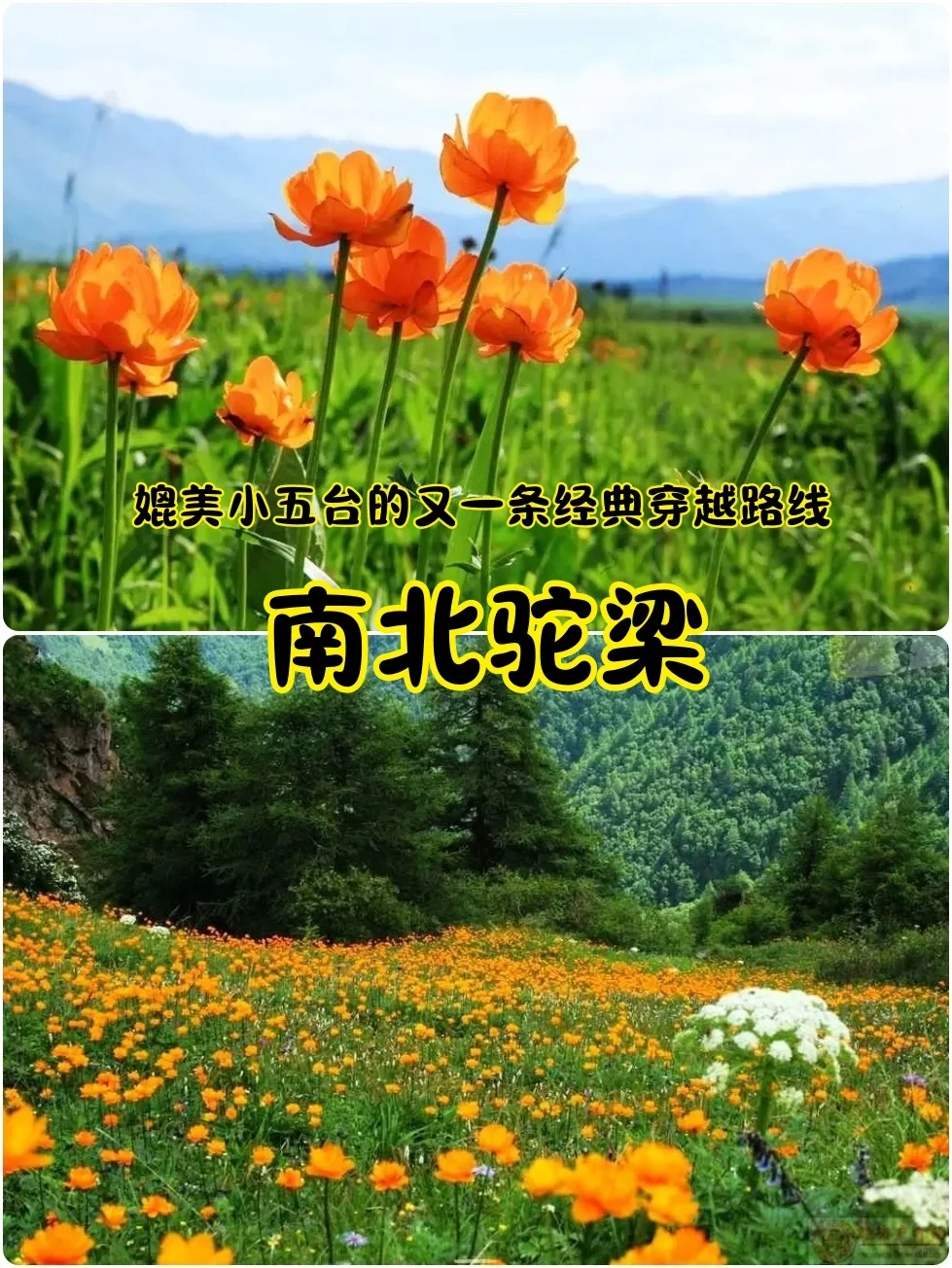 南北驼梁，7月徒步爱好者的圣地