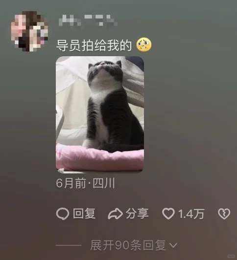 大学生在宿舍养的猫猫都是怎么被发现的呀？