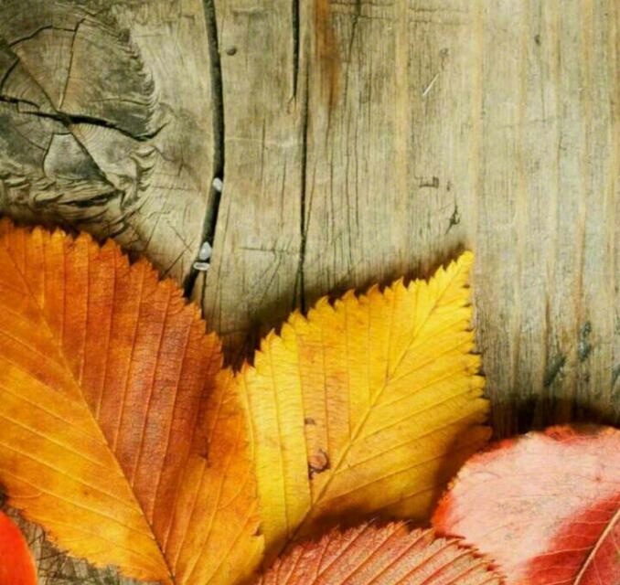 曾经拥有的东西被夺走，并不代表就会回到原来没有那种东西的时候。——东野圭吾《白夜