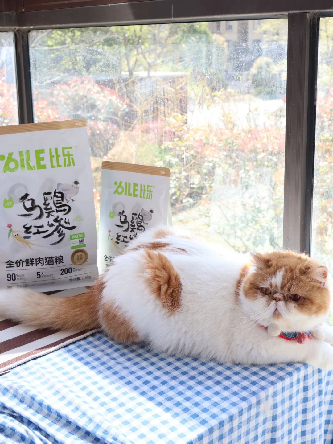 高营养乌鸡猫粮 快给你的主子试试吧❗