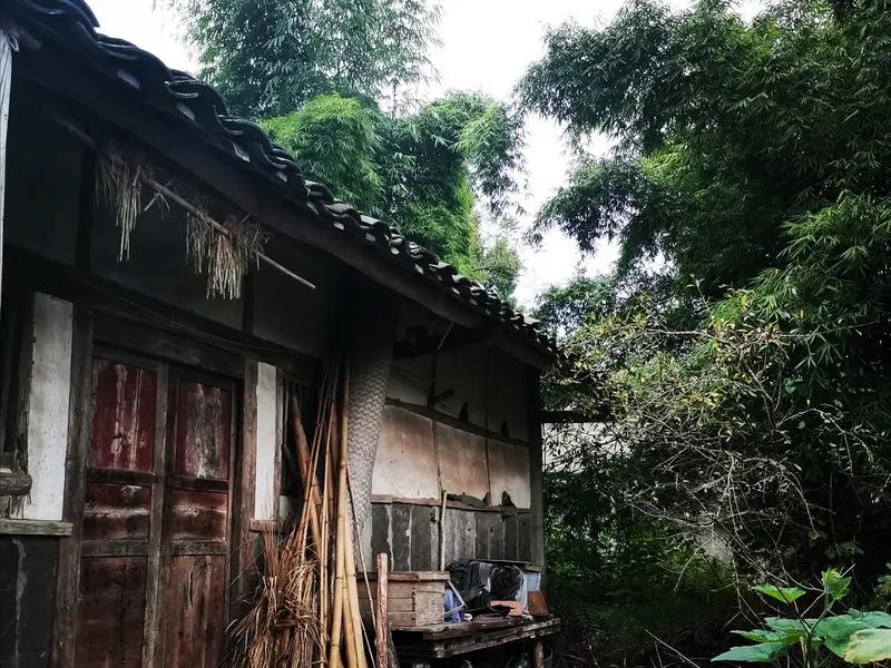 谷谷友视频画面展现了古老与现代的融合。老宅满是岁月的痕迹，静静诉说着它的过往，那
