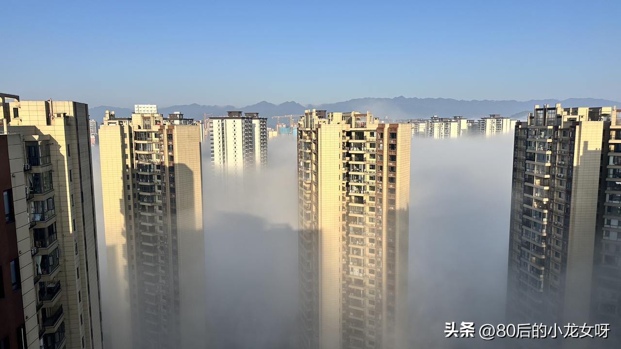 今天3月11日，星期三
拨云见日终有时，守得云开见月明
新的一天是最好的开始
只