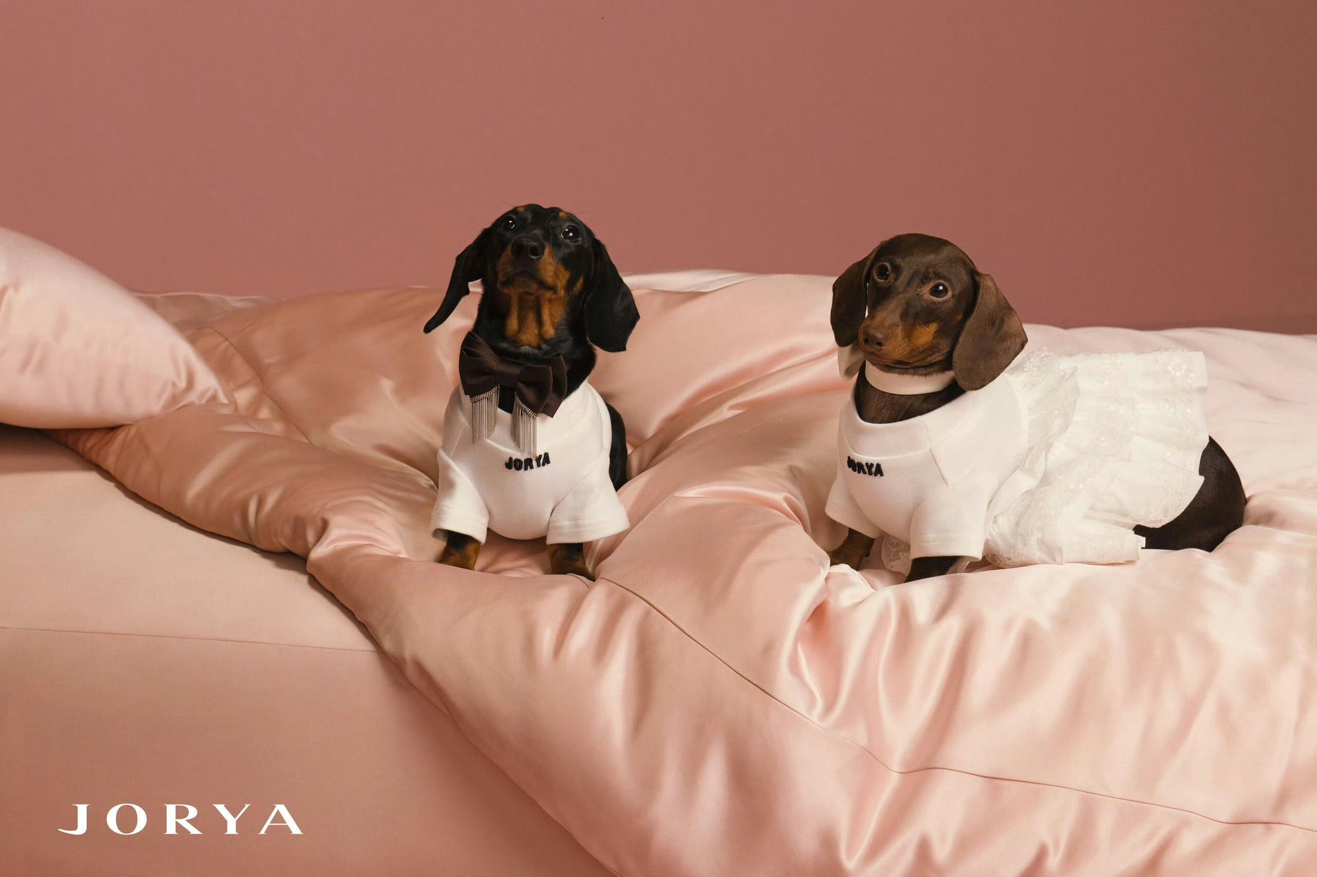 二位明星出现了身材管理上的瓶颈期… 