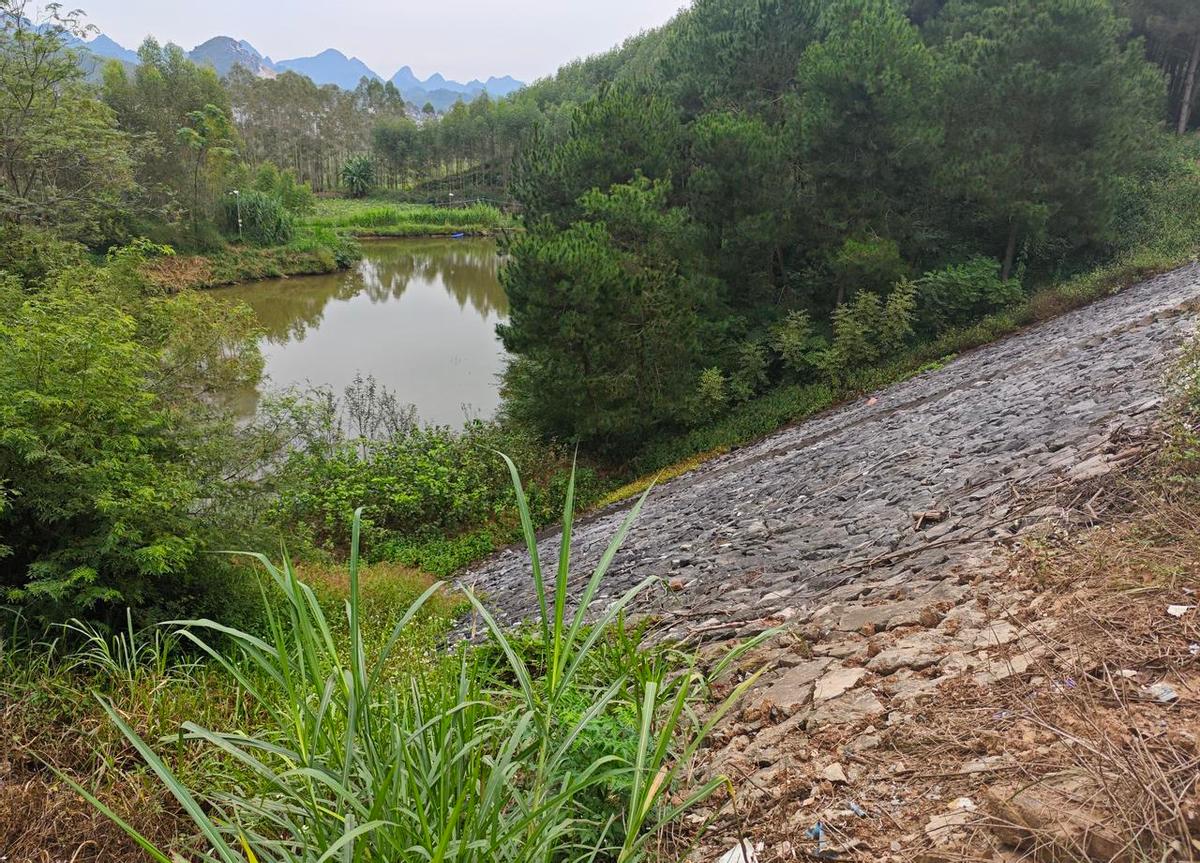 你35岁，管七级，有中级职称，想转专技岗，结果八级满了，得等五年。
可管理岗六级