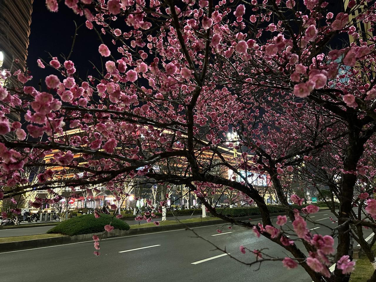 今天31度呀，在春天里蹓跶[微风][微风][微风]

浪漫生活的记录者 祝亲爱的