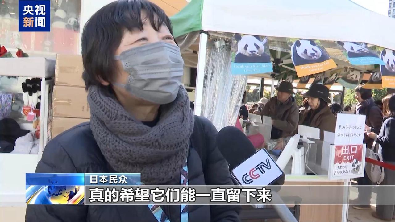 失去了才知道它的宝贵，才懂得珍惜。

我们的大熊猫晓晓和蕾蕾明年年初就要回到故土