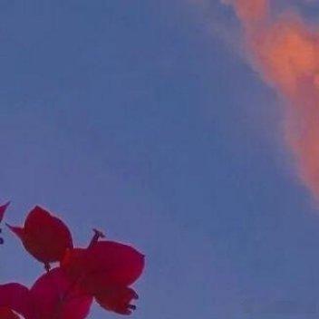 ——🌟温暖·在路上🌟—— ╭┈┈ ┓时光不会被辜负🕰 ┆勿忘 ┆努力做一个