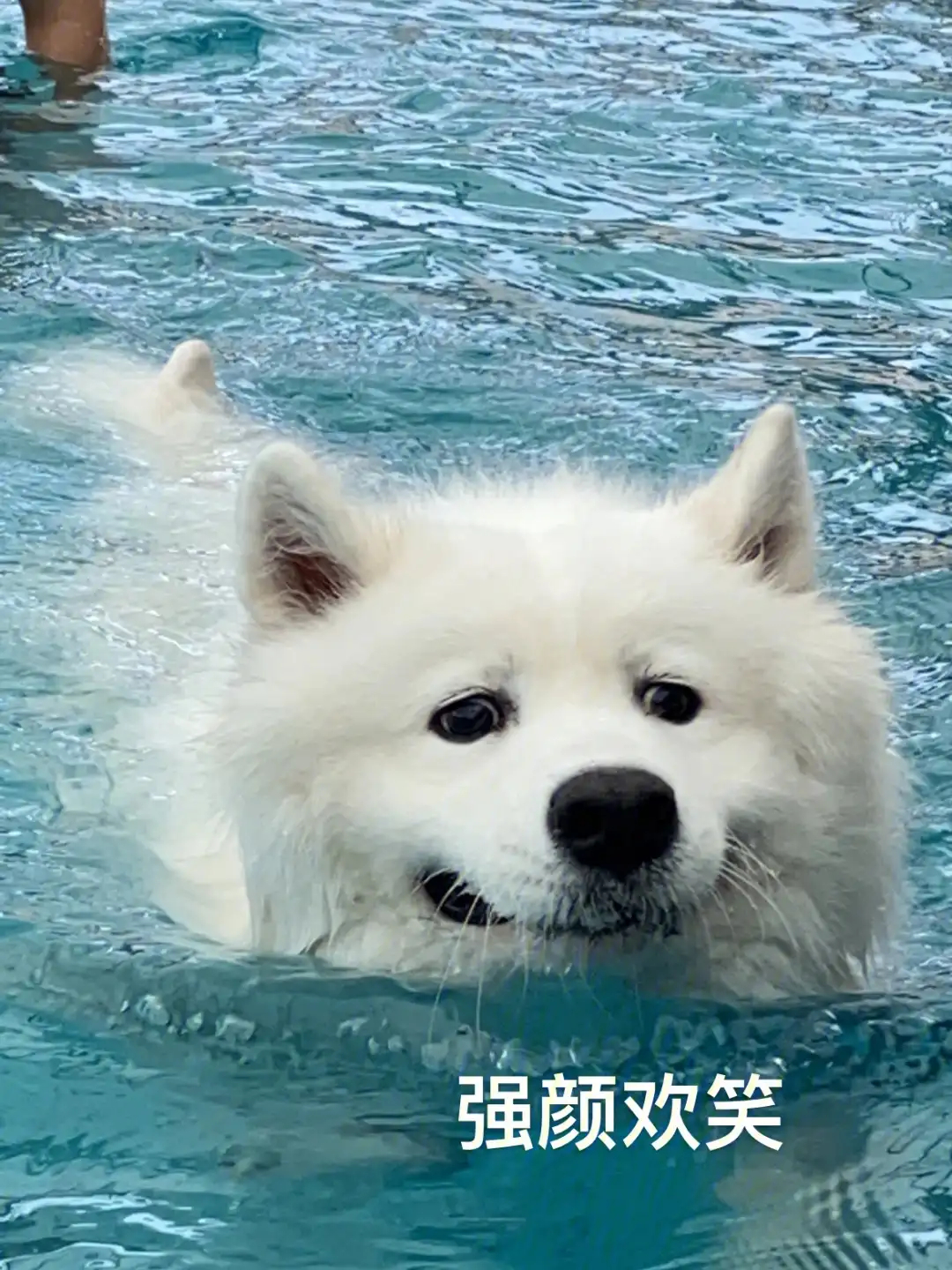 【游完泳不冲澡，会留下什么…】游完泳一般会立马冲澡，主要是为了清洗掉皮肤上的余氯
