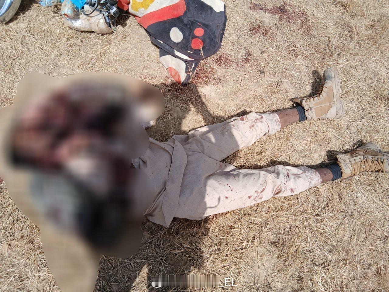 4月29日，俄罗斯“非洲军团”某侦察分队在马里境内的克瓦拉地区发现了一队试图在路